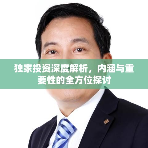 獨家投資深度解析，內(nèi)涵與重要性的全方位探討