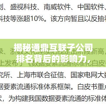 揭秘通鼎互聯(lián)子公司排名背后的影響力，行業(yè)地位深度解析