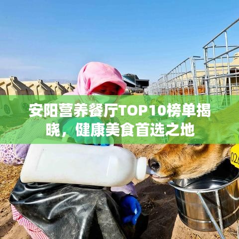 安陽營養(yǎng)餐廳TOP10榜單揭曉，健康美食首選之地
