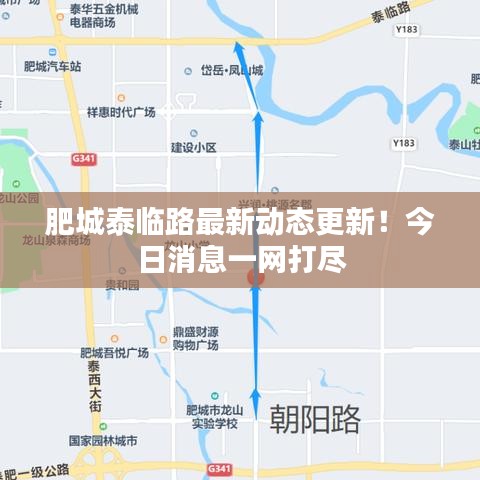 肥城泰臨路最新動態(tài)更新！今日消息一網(wǎng)打盡