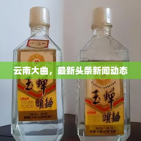 云南大曲，最新頭條新聞動態(tài)