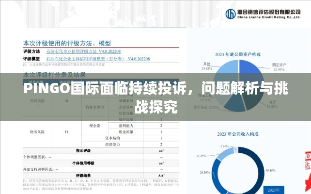 PINGO國際面臨持續(xù)投訴，問題解析與挑戰(zhàn)探究