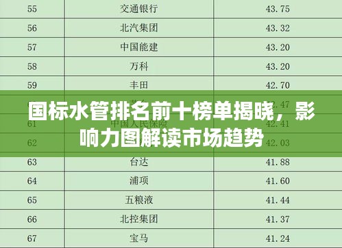 國標(biāo)水管排名前十榜單揭曉，影響力圖解讀市場(chǎng)趨勢(shì)