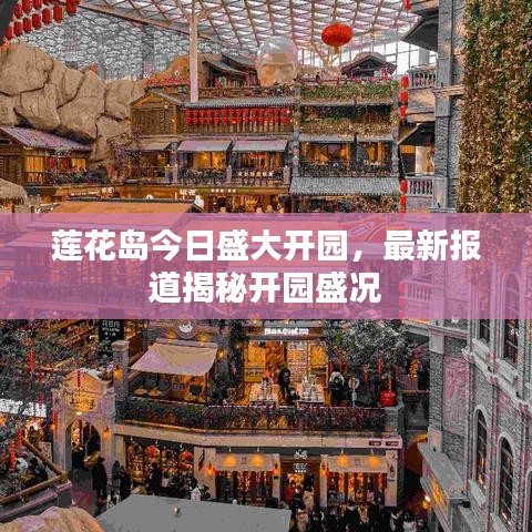 蓮花島今日盛大開園，最新報道揭秘開園盛況