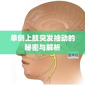 單側上肢突發(fā)抽動的秘密與解析