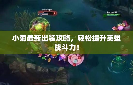 小菊最新出裝攻略，輕松提升英雄戰(zhàn)斗力！