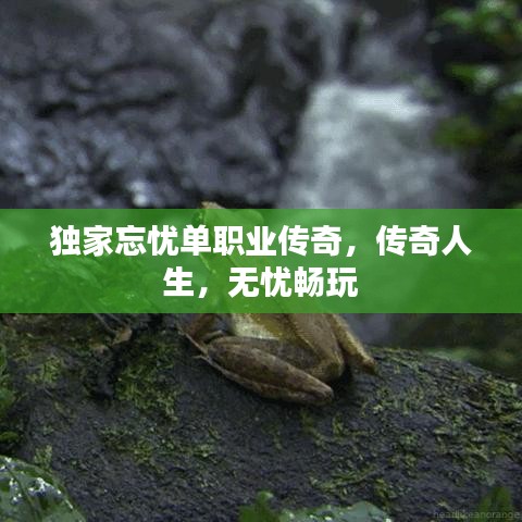 獨(dú)家忘憂單職業(yè)傳奇，傳奇人生，無(wú)憂暢玩