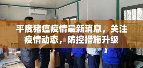 平度豬瘟疫情最新消息，關(guān)注疫情動(dòng)態(tài)，防控措施升級(jí)