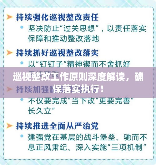巡視整改工作原則深度解讀，確保落實(shí)執(zhí)行！