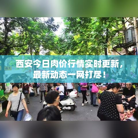 西安今日肉價行情實時更新，最新動態(tài)一網(wǎng)打盡！