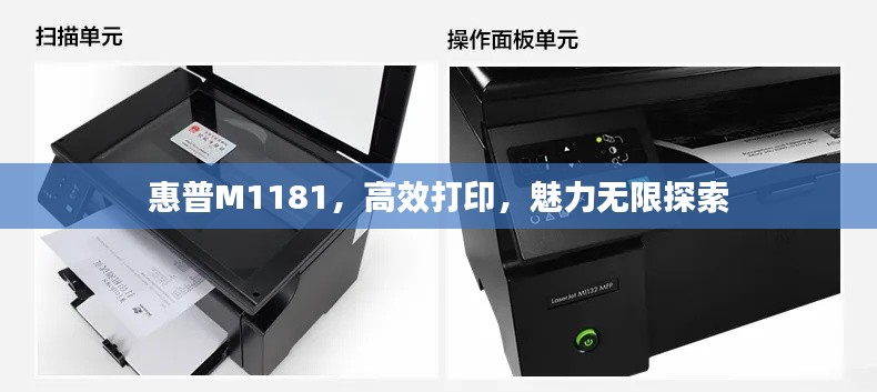 惠普M1181，高效打印，魅力無限探索