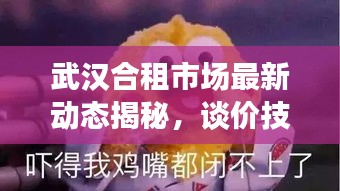 武漢合租市場(chǎng)最新動(dòng)態(tài)揭秘，談價(jià)技巧與租房攻略分享