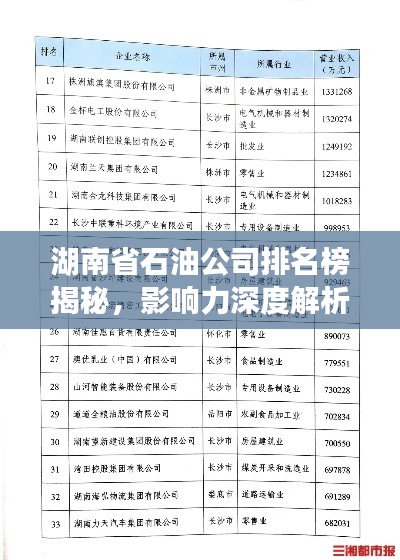 湖南省石油公司排名榜揭秘，影響力深度解析