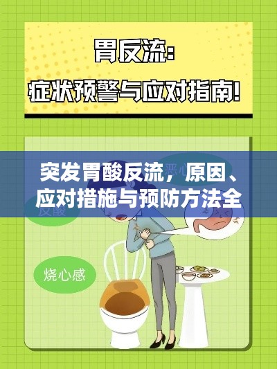 突發(fā)胃酸反流，原因、應(yīng)對(duì)措施與預(yù)防方法全解析