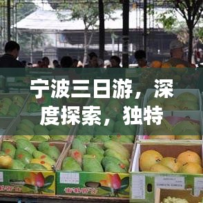 寧波三日游，深度探索，獨特體驗之旅
