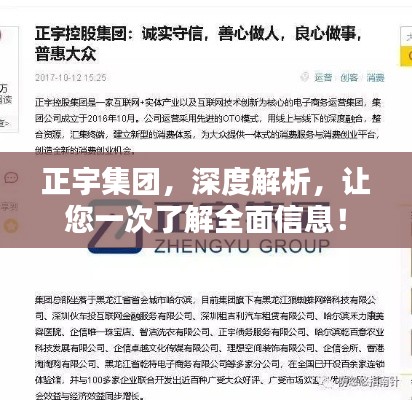 正宇集團，深度解析，讓您一次了解全面信息！