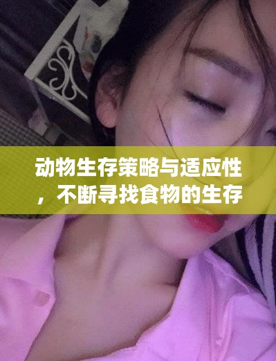 動物生存策略與適應(yīng)性，不斷尋找食物的生存之道