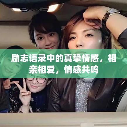 勵(lì)志語錄中的真摯情感，相親相愛，情感共鳴