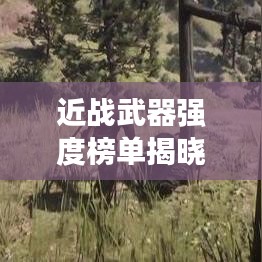 近戰(zhàn)武器強度榜單揭曉，前十名武器實力比拼！