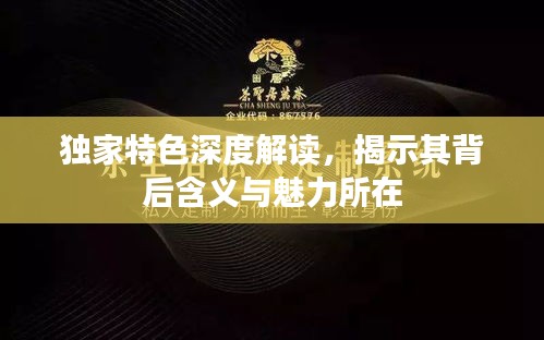 獨(dú)家特色深度解讀，揭示其背后含義與魅力所在