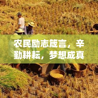 農(nóng)民勵志箴言，辛勤耕耘，夢想成真時刻