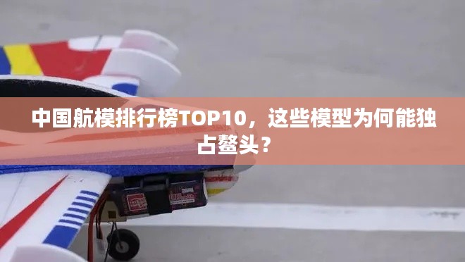 中國航模排行榜TOP10，這些模型為何能獨(dú)占鰲頭？