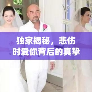 獨家揭秘，悲傷時愛你背后的真摯情感故事