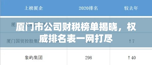 廈門市公司財稅榜單揭曉，權威排名表一網(wǎng)打盡