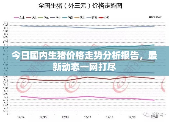 今日國(guó)內(nèi)生豬價(jià)格走勢(shì)分析報(bào)告，最新動(dòng)態(tài)一網(wǎng)打盡