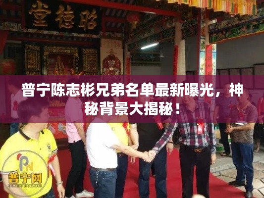 普寧陳志彬兄弟名單最新曝光，神秘背景大揭秘！