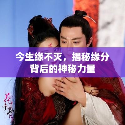 今生緣不滅，揭秘緣分背后的神秘力量