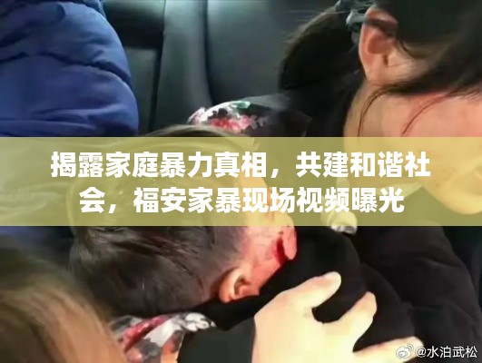 揭露家庭暴力真相，共建和諧社會，福安家暴現(xiàn)場視頻曝光