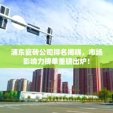 浦東瓷磚公司排名揭曉，市場(chǎng)影響力榜單重磅出爐！