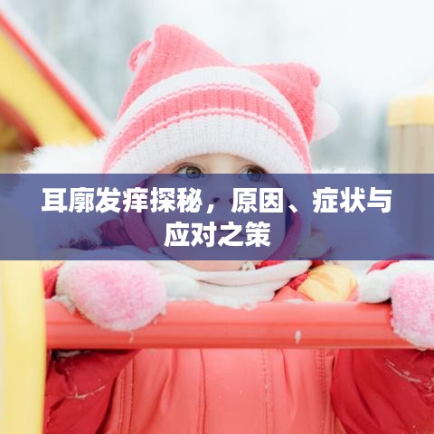 耳廓發(fā)癢探秘，原因、癥狀與應(yīng)對之策