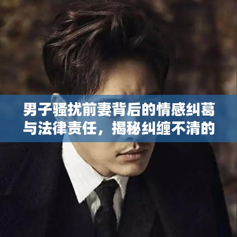 男子騷擾前妻背后的情感糾葛與法律責(zé)任，揭秘糾纏不清的法律紅線