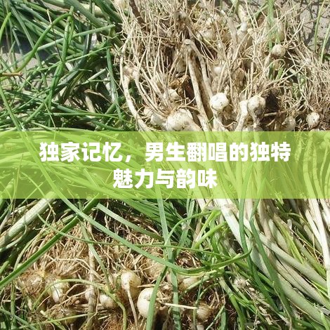 獨(dú)家記憶，男生翻唱的獨(dú)特魅力與韻味