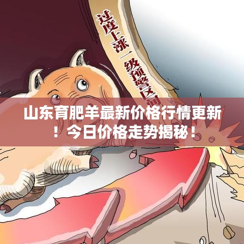 山東育肥羊最新價(jià)格行情更新！今日價(jià)格走勢揭秘！