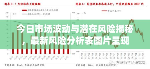 今日市場(chǎng)波動(dòng)與潛在風(fēng)險(xiǎn)揭秘，最新風(fēng)險(xiǎn)分析表圖片呈現(xiàn)