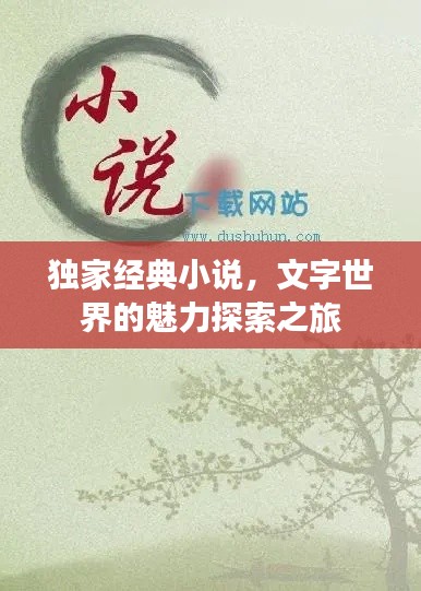 獨(dú)家經(jīng)典小說，文字世界的魅力探索之旅