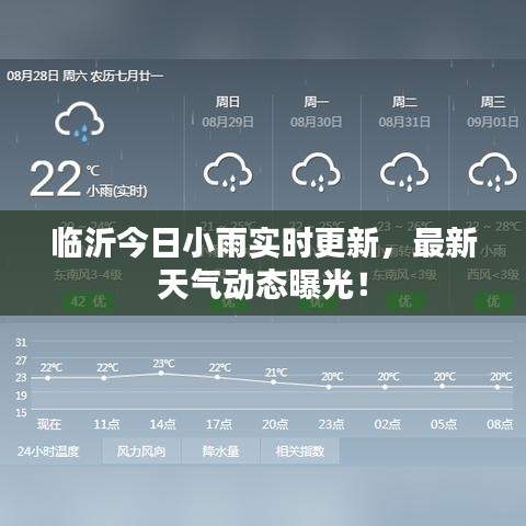 臨沂今日小雨實時更新，最新天氣動態(tài)曝光！