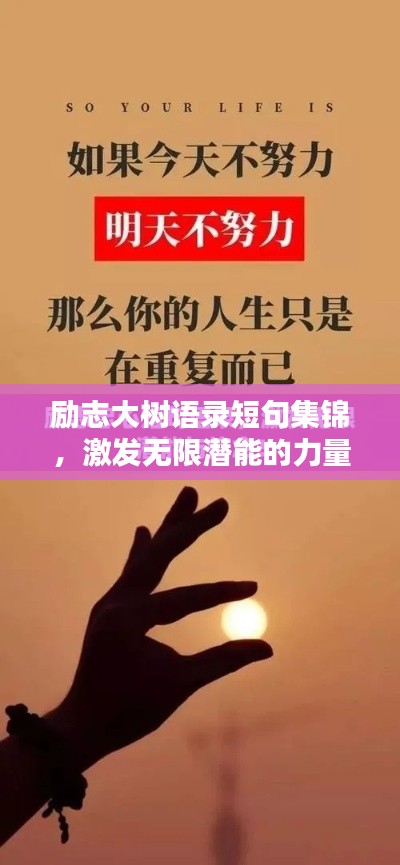 勵志大樹語錄短句集錦，激發(fā)無限潛能的力量之語