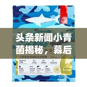 頭條新聞小青菌揭秘，幕后故事與巨大影響力