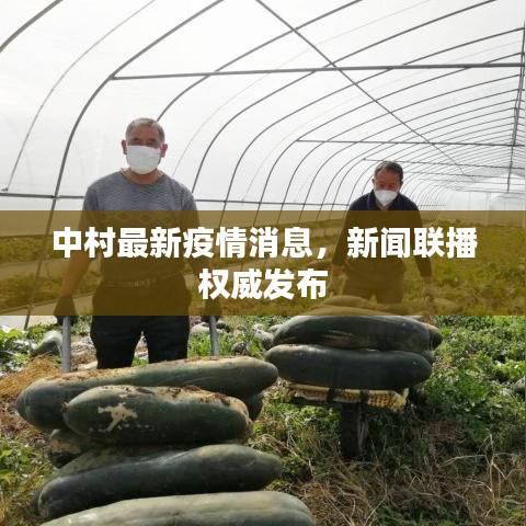 中村最新疫情消息，新聞聯(lián)播權(quán)威發(fā)布