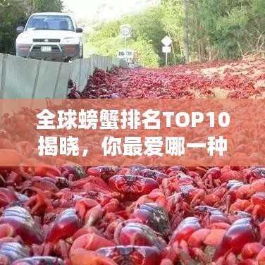 全球螃蟹排名TOP10揭曉，你最愛哪一種？