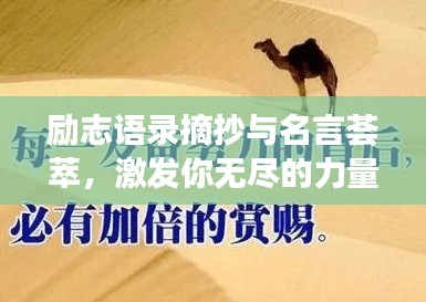 勵(lì)志語錄摘抄與名言薈萃，激發(fā)你無盡的力量源泉