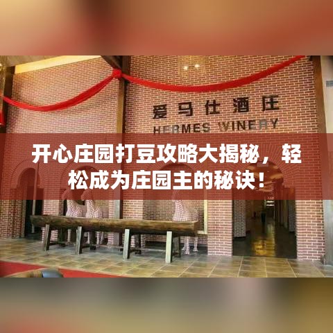 開心莊園打豆攻略大揭秘，輕松成為莊園主的秘訣！