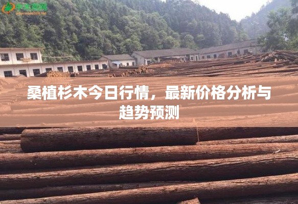 桑植杉木今日行情，最新價格分析與趨勢預(yù)測