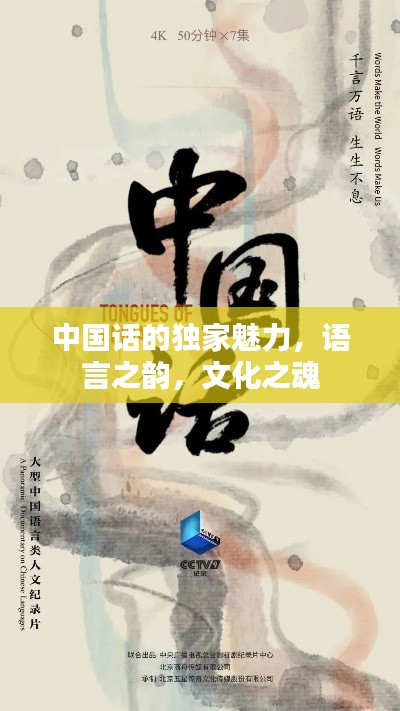 中國(guó)話的獨(dú)家魅力，語言之韻，文化之魂