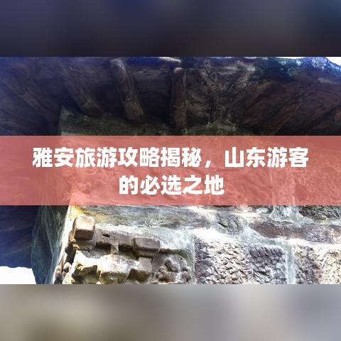 雅安旅游攻略揭秘，山東游客的必選之地