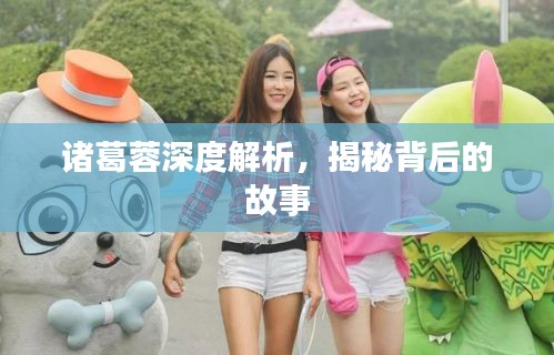 諸葛蓉深度解析，揭秘背后的故事